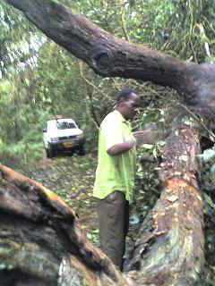 Kidia2.JPG (26716 Byte)