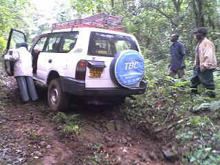 Kidia3.JPG (29213 Byte)