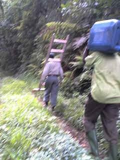 Kidia4.JPG (24465 Byte)