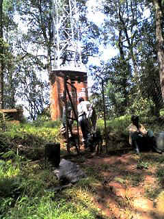 Kidia5.JPG (39348 Byte)