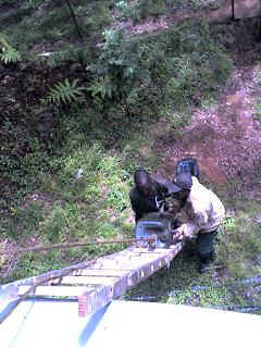 Kidia6.JPG (28688 Byte)