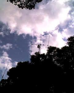 01-05-12_0437.jpg (7578 bytes)