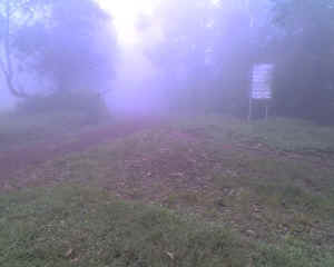 03-05-12_1113.jpg (5698 bytes)