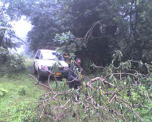 03-05-12_1137.jpg (15275 bytes)