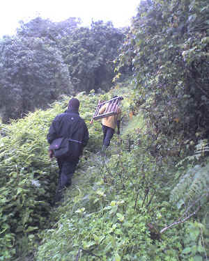 03-05-12_1220.jpg (22118 bytes)