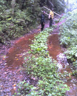 03-05-12_1439.jpg (25919 bytes)