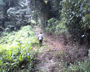 05-09-12_1137.jpg (80691 Byte)