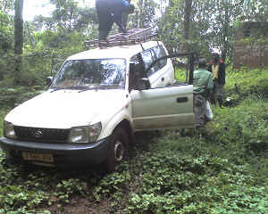 14-08-14_1201.jpg (71197 Byte)