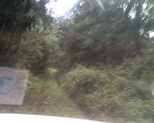 12-09-14_1511.jpg (48359 Byte)