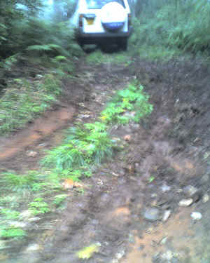 19-09-14_1102.jpg (60566 Byte)