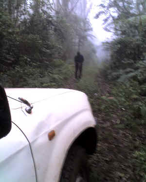 19-09-14_1104.jpg (45996 Byte)