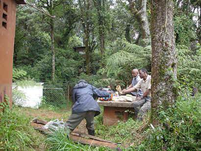 sola1.JPG (28039 Byte)