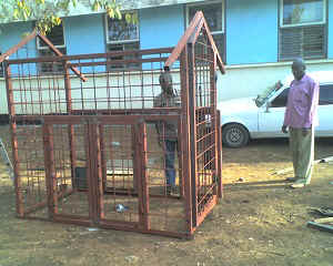 07-01-06_1854.jpg (13916 bytes)