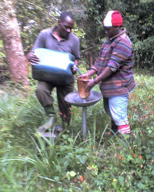 09-09-15_1615.jpg (76423 bytes)