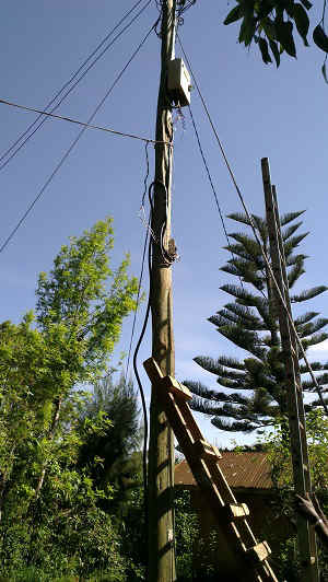 IMAG7408.jpg (96979 bytes)