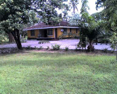 Kisoso11.JPG (22510 Byte)