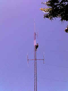 Kisoso14.JPG (8818 Byte)