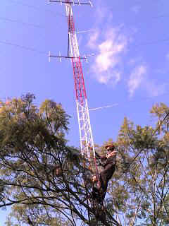 Kisoso15.JPG (24281 Byte)