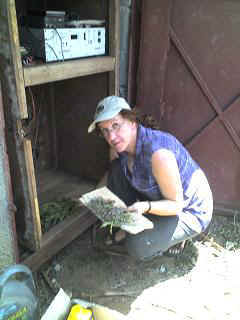 Kisoso3.JPG (19080 Byte)