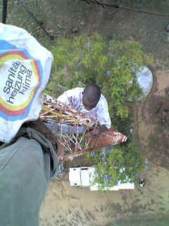 Kisoso6.JPG (23888 Byte)