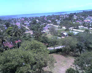 09-11-11_1203.jpg (64190 Byte)