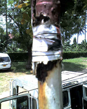 09-11-11_1208.jpg (70337 Byte)