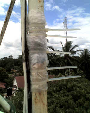 09-11-11_1245.jpg (52076 Byte)