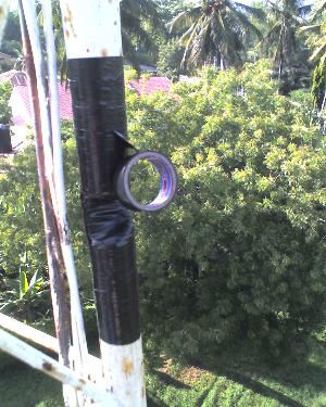 30-11-11_1616.jpg (34445 bytes)