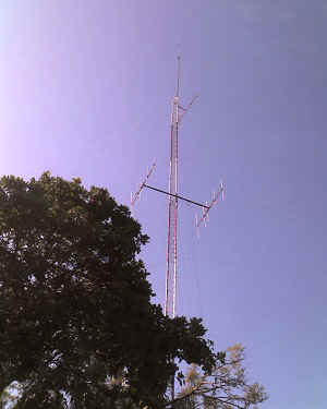 08-08-14_0909.jpg (36342 bytes)