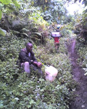 18-05-11_1213.jpg (42982 bytes)