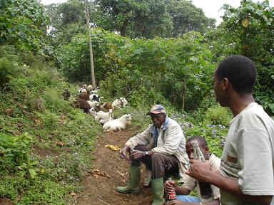 Kivesi 5.JPG (61169 Byte)