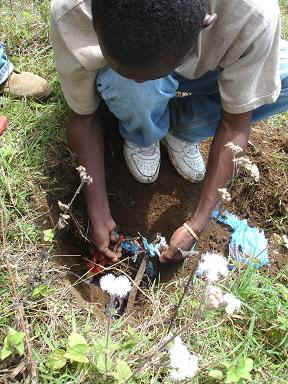 Kivesi 7.JPG (59774 Byte)