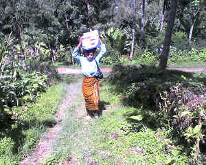 20-12-12_1111.jpg (85516 Byte)