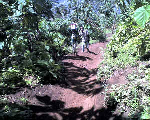 20-12-12_1200.jpg (87042 Byte)