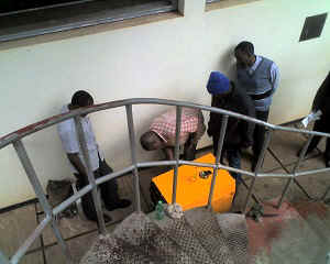 15-06-16_0950.jpg (55588 bytes)