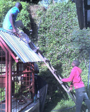 15-06-16_1621.jpg (89852 bytes)