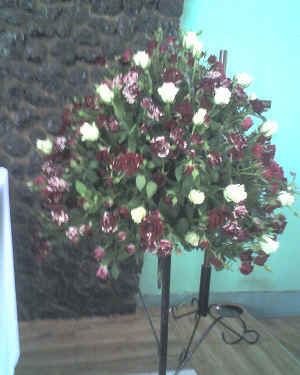 31-01-16_1411.jpg (54768 Byte)