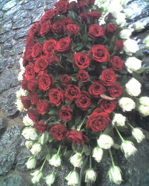 31-01-16_1413.jpg (73354 Byte)