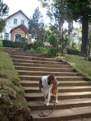 Tanga3.JPG (21207 Byte)