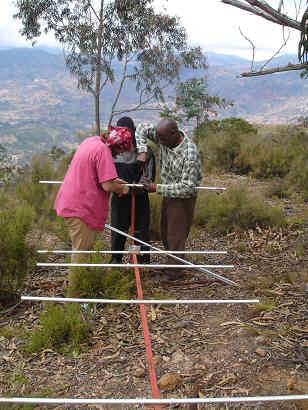 Tanga6.JPG (24178 Byte)