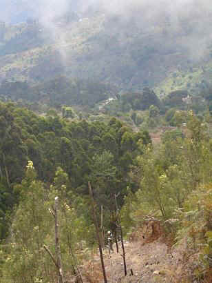 Mlalo8.JPG (44929 Byte)