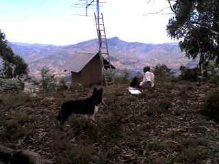 Mlalo13.JPG (21928 Byte)