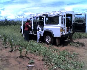 19-04-11_1207.jpg (19251 bytes)