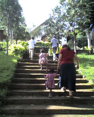 19-04-11_1605.jpg (32573 bytes)