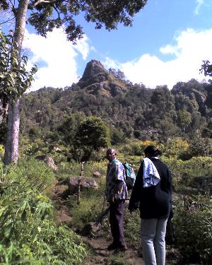 20-04-11_0936.jpg (35152 bytes)