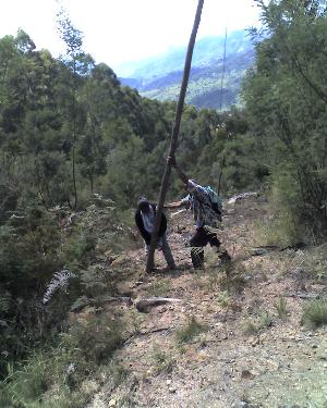 20-04-11_1111.jpg (30975 bytes)