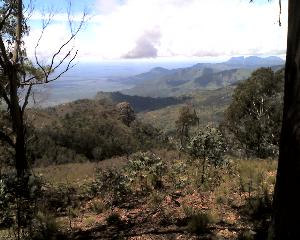 20-04-11_1245.jpg (18062 bytes)