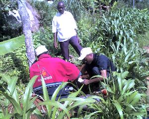 29-11-11_1503.jpg (30084 bytes)