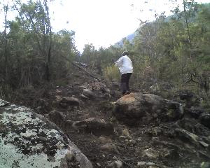 29-11-11_1610.jpg (18302 bytes)