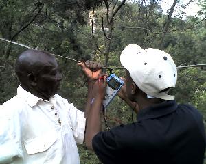 29-11-11_1623.jpg (17788 bytes)